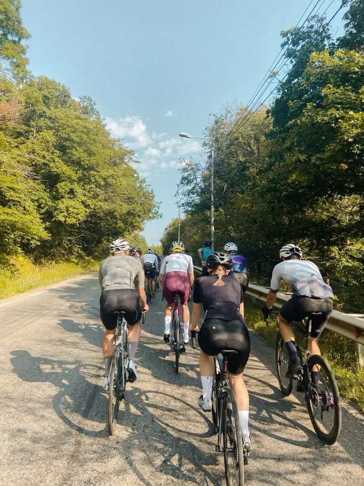 Alpine road cycling scenery